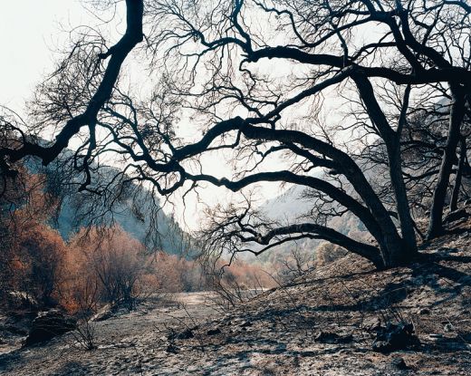 Glendora Canyon, 2002, Hans-Christian Schink